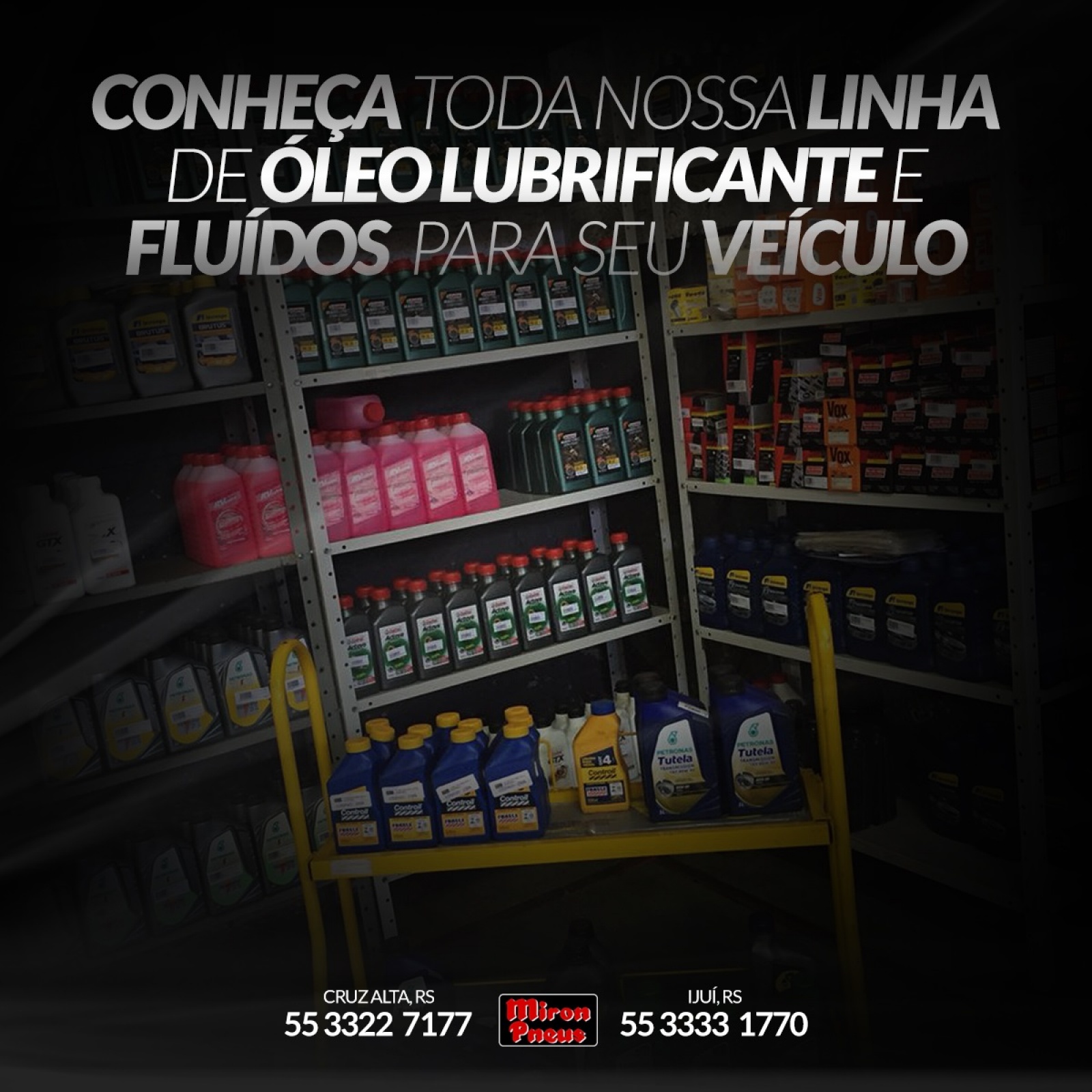 Conheça toda a nossa linha de Óleo Lubrificante e Fluídos para o seu veículo